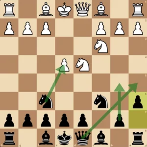 sicilian defense for beginners simple strategic ideas with queenside expansion